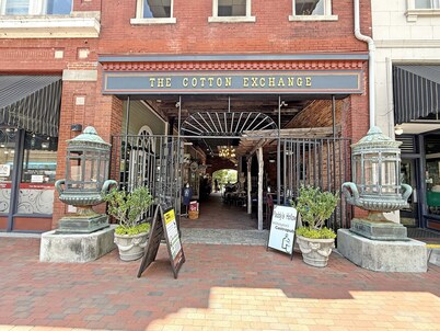 Catalina Crib~ Experience Downtown Wilmington Nightlife, Walk to Concerts