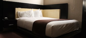HOTEL CANCALLI