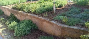The Villa with the Aromatic Herbs. 
 Fragrances you will fall in love with