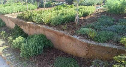 The Villa with the Aromatic Herbs.
Fragrances you will fall in love with