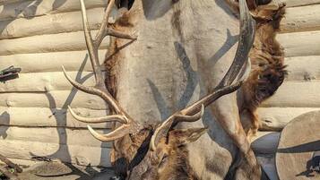 DĂ©tail de lâintĂ©rieur