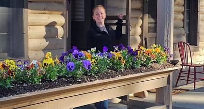 Rustic Cabin 3 on the San Juan National Forest Service Road