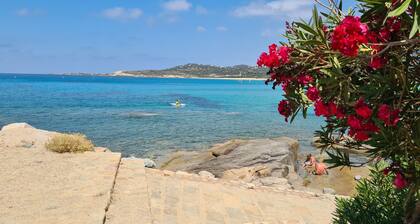 Charmant T3 Fiore Di Lume, Rénové, 2 Chambres, vue mer