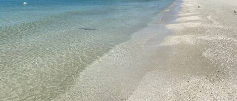 A beach with clear shallow waters, a sandy shore, and a distant shoreline with buildings.
