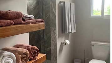 Shower, towels, soap, toilet paper