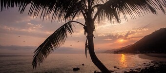 PAROTA CABAÑA (OCEANFRONT WITH PRIVATE POOL)