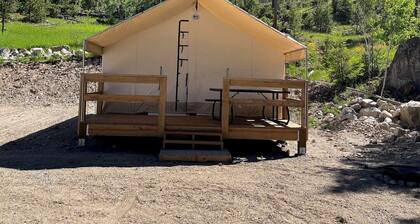 Unique Glamping Experience