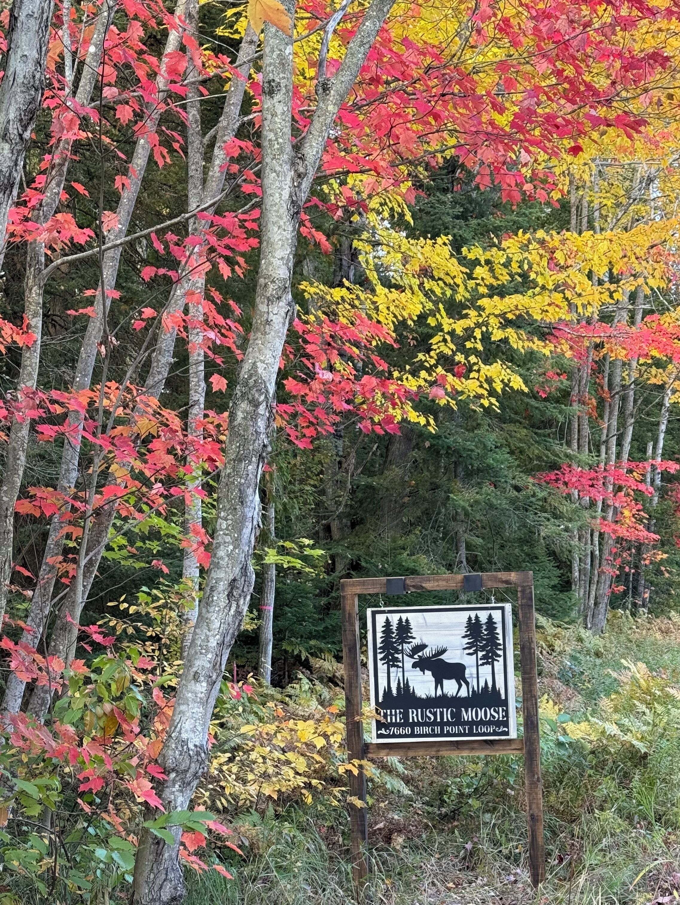 Un panneau représentant un élan et des arbres, indiquant l’emplacement du restaurant The Rustic Moose, situé au 7660, chemin Birch Point.