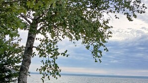 A wooden bench by a lake with a tree overhead. - Rustic Moose Lakefront Guest Cabin on the Shore of Lake Superior (Brimley)