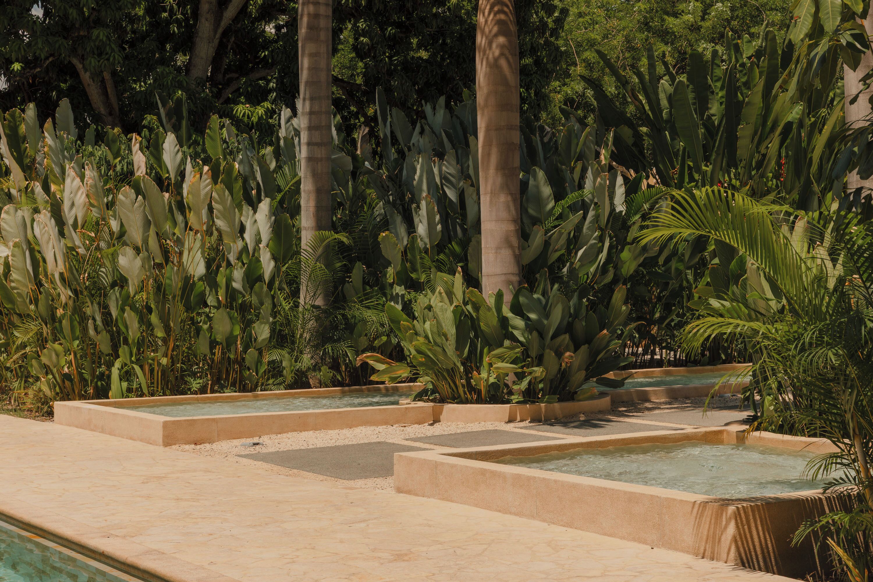 A pool area with multiple rectangular water features surrounded by lush tropical vegetation.