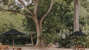Un espace extérieur aménagé avec des tables et des chaises en bois, des parasols noirs et un grand arbre.