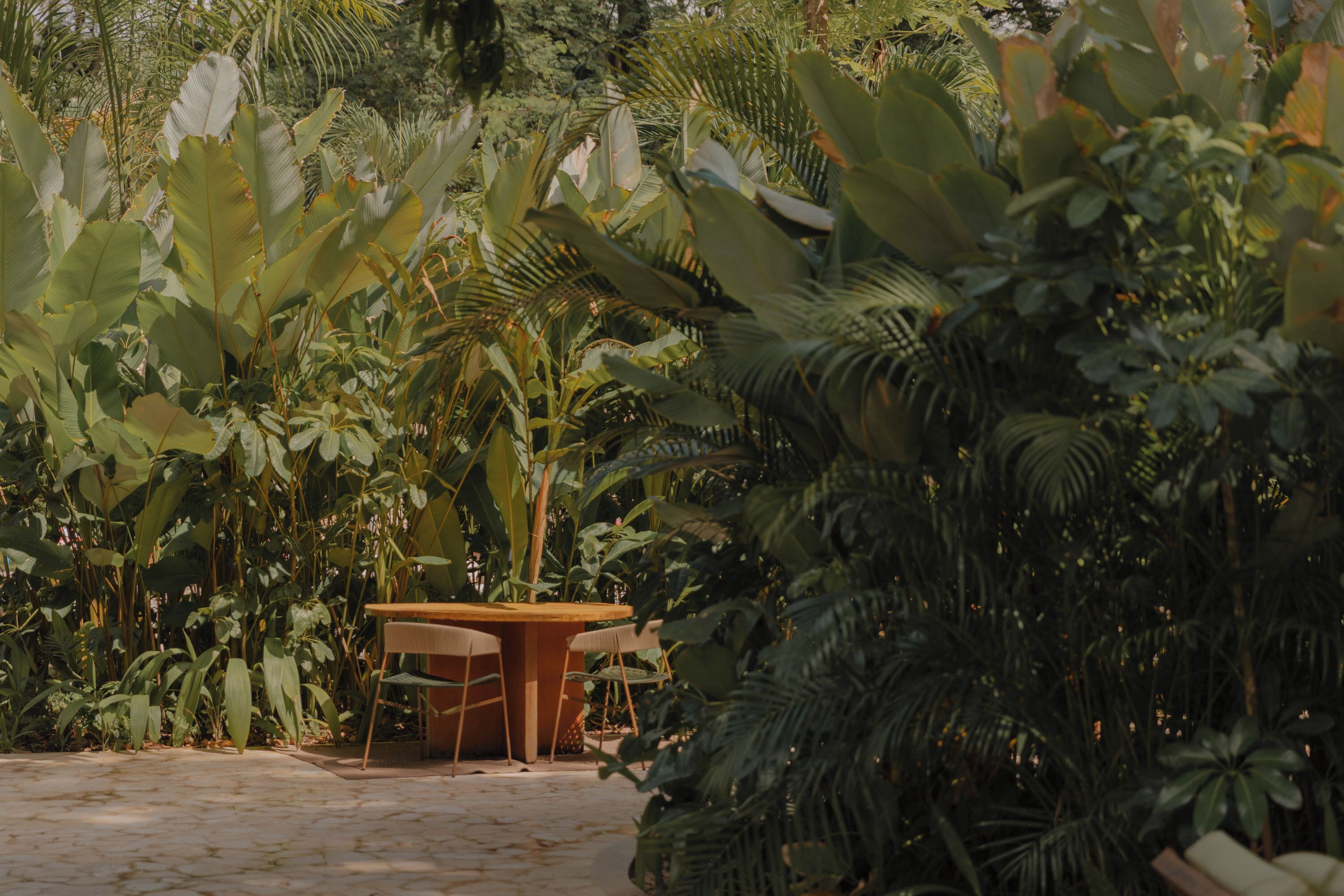 An outdoor seating area with a table and chairs surrounded by lush tropical foliage.