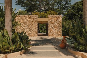 Un sendero conduce a un arco de piedra rodeado de plantas tropicales.