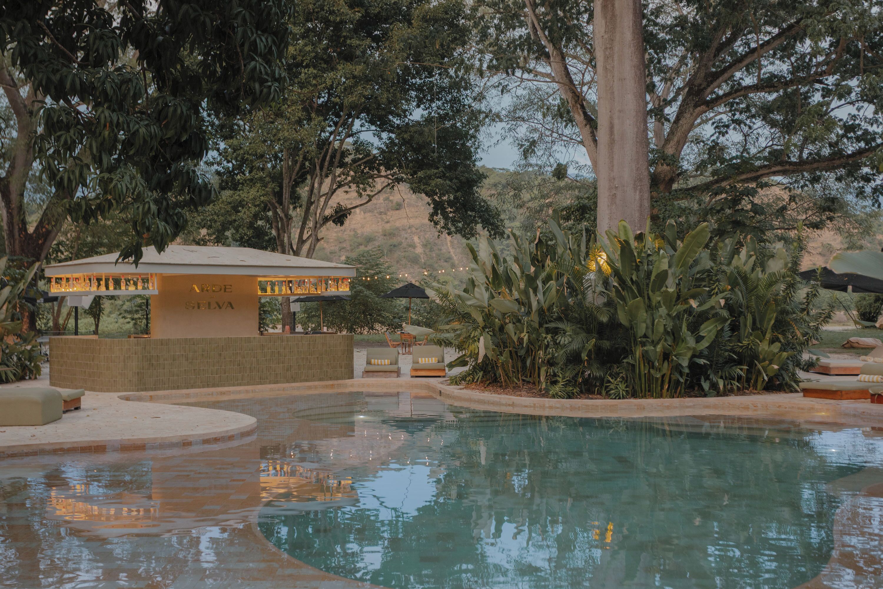 Zona de piscina con bar, sillas de descanso y plantas tropicales.