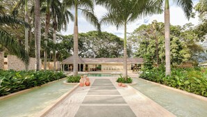 Un área de piscina con un sendero que lleva a un edificio, rodeado de palmeras y follaje.