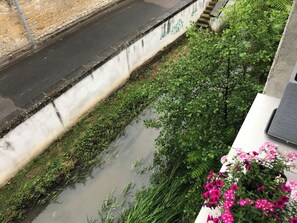 A narrow water channel with vegetation and a concrete wall with graffiti.