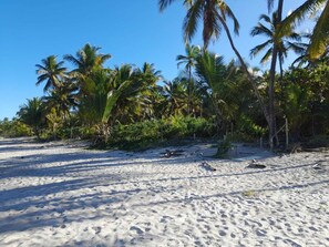 Beach - Surf House in the Atlantic Forest – Close to Itacarezinho and Engenhoca Beaches (Itacaré)