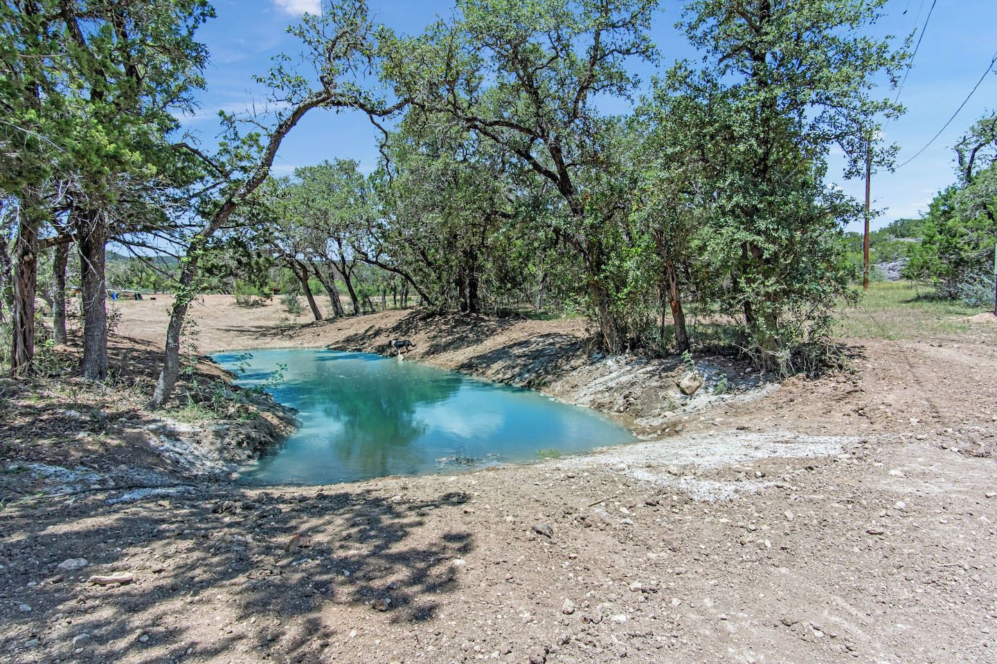 Un paisaje natural con una masa de agua cristalina, rodeado de árboles y un sendero de tierra.