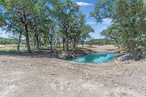 A natural landscape with a small pond surrounded by trees and a dirt path.
