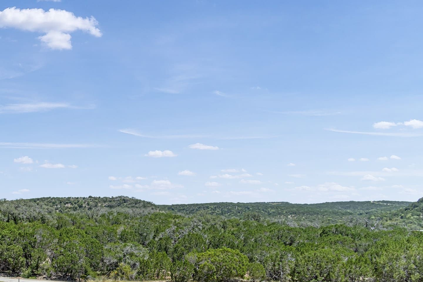 Een landschap met heldere lucht en glooiend terrein bedekt met dichte begroeiing.