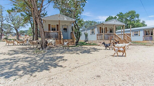 Unclassified image, 1 of 19, button - Lucky Starlight Cabin 1 | 1BR on 42-Acre Ranch (Bandera)