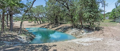 A natural landscape with a clear water body, surrounded by trees and a dirt path.