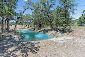 Paisagem natural com um corpo d'água límpido, rodeado por árvores e uma trilha de terra.