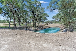 A natural landscape with a small pond surrounded by trees and a dirt path. - Lucky Shooting Star #3 | Romantic Stay Near Parks (Bandera)