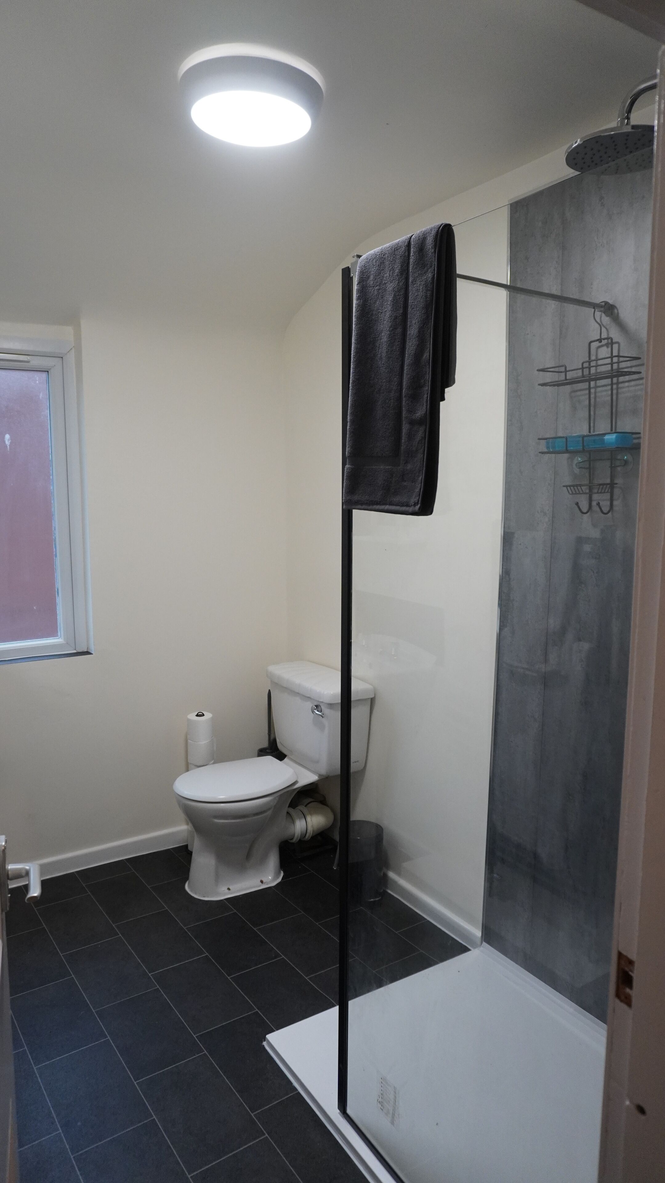 A bathroom with a white toilet, a shower enclosure, and a black floor.