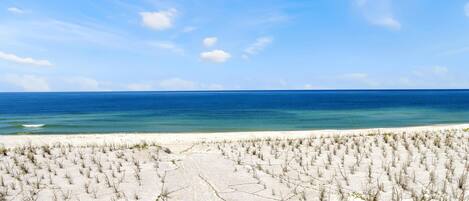 Huis, meerdere bedden (Salty Dolphin) | Strand