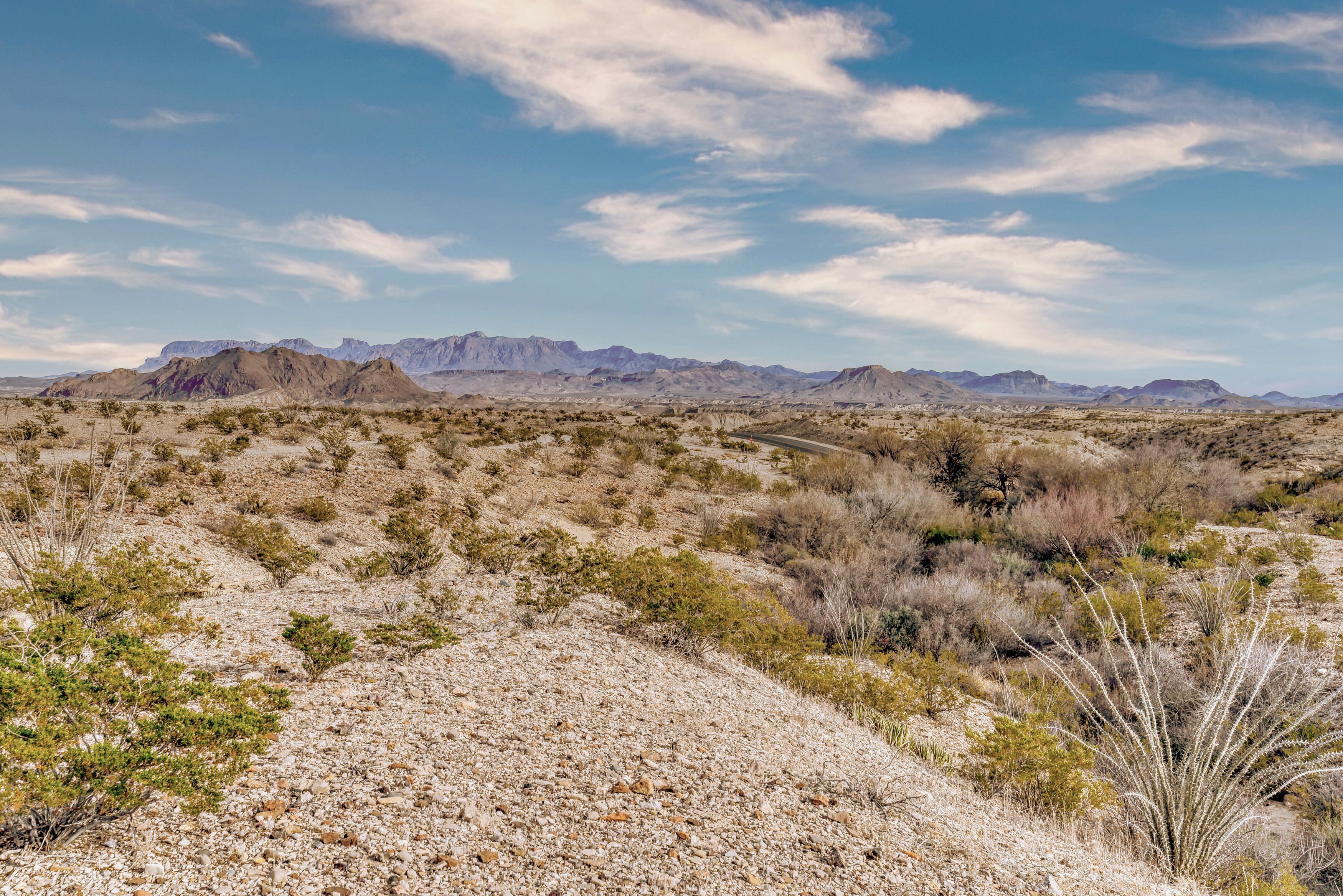 A desert landscape with sparse vegetation and distant mountains under a clear sky.