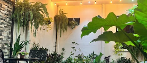 Terraço/pátio