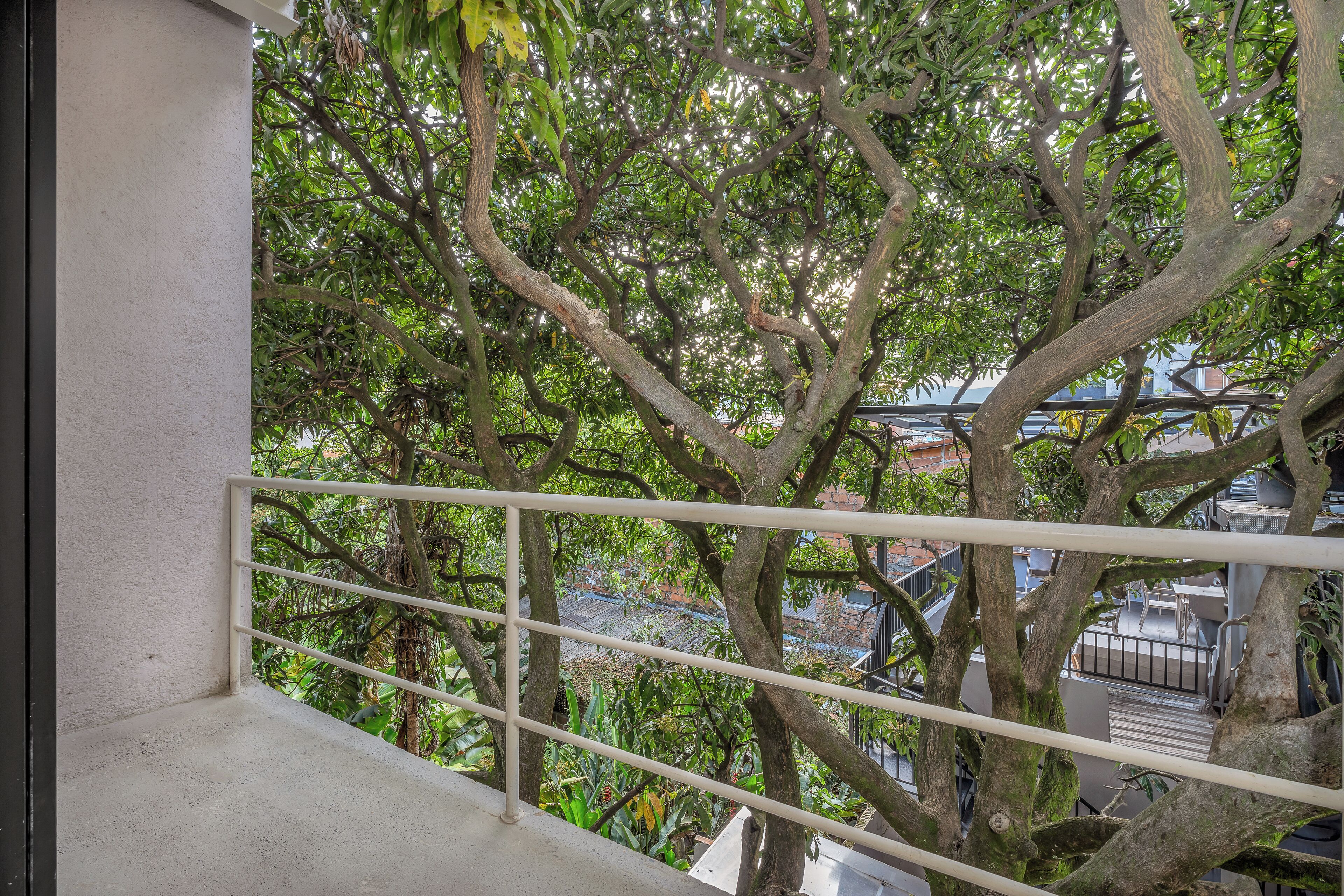 A balcony with a white railing overlooking a lush green tree.