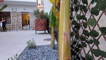 Detalle exterior