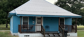 Peaceful cabin in orchard with Lake Chicot views!