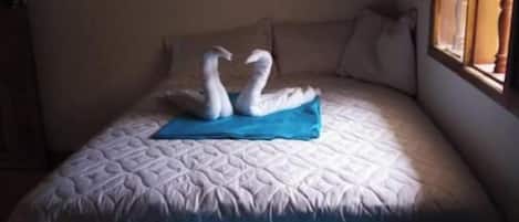 3 chambres