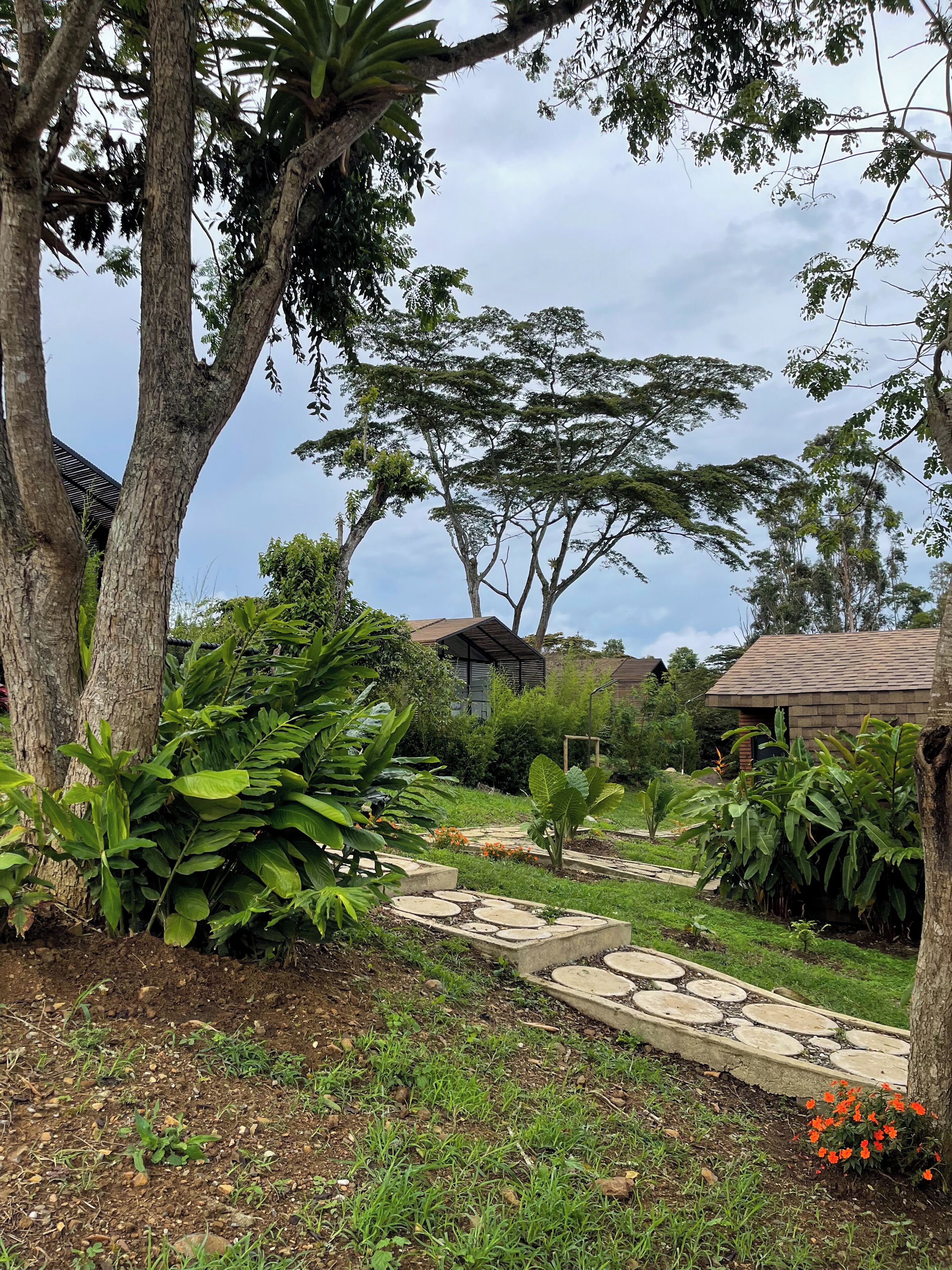 Un sendero en un jardín, bordeado de piedra, rodeado de abundante vegetación y árboles.