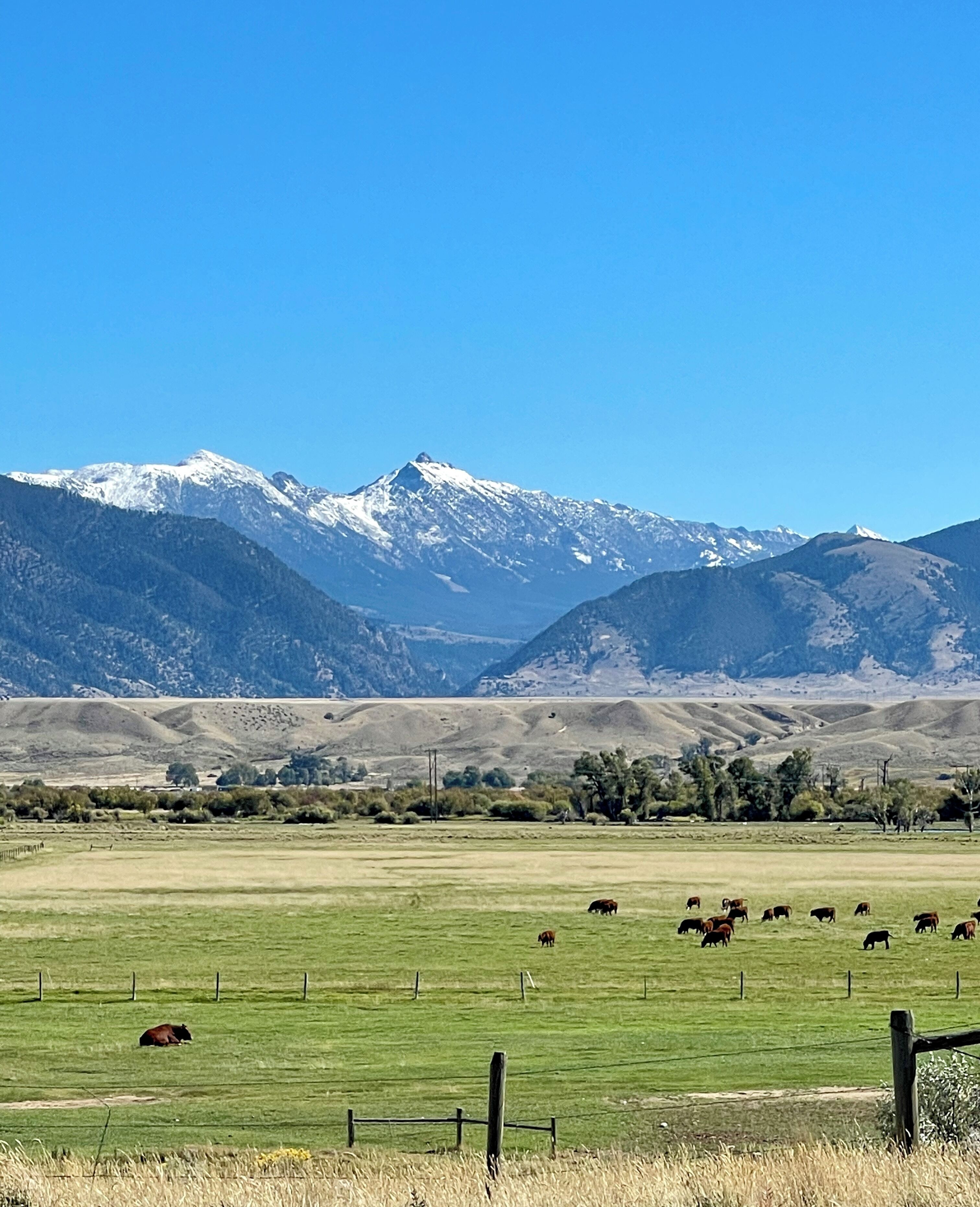 The Madison mountain range