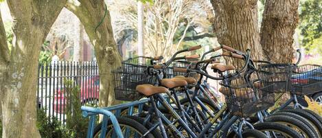 Bicycles parked under a tree in a park setting.