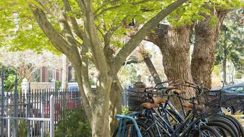 A tree with bicycles parked under it.
