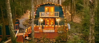 Rustic Charm Meets Modern Boutique + DCL Central + Hot Tub, Sauna, Lake Access
