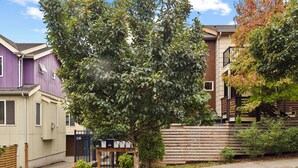 Un barrio residencial con casas, un árbol, un buzón y una valla.
