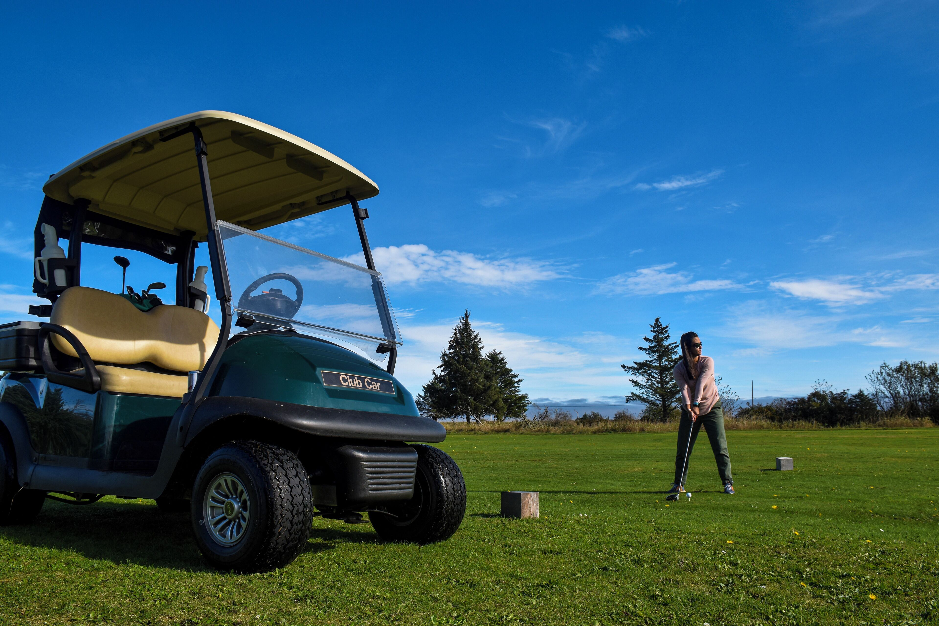 A golf cart on a green with a person in a pink shirt preparing to putt.