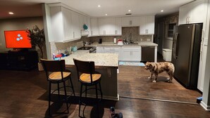 A modern kitchen with white cabinets, a granite countertop, and a stainless steel refrigerator. There are two bar stools and a dog in the room. - Intercostal channel house with boat dock and ping-pong table  (South Daytona)