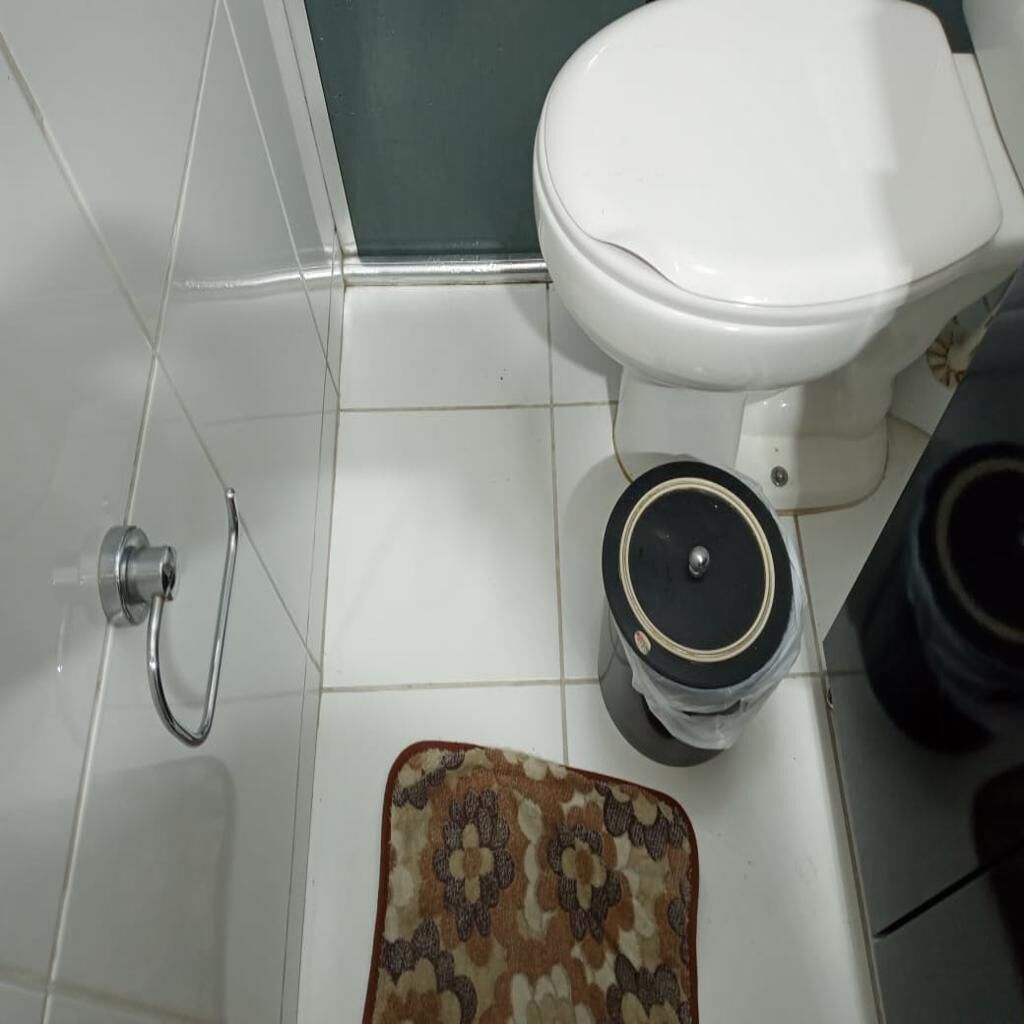 A bathroom with a toilet, a shower, and a rug.