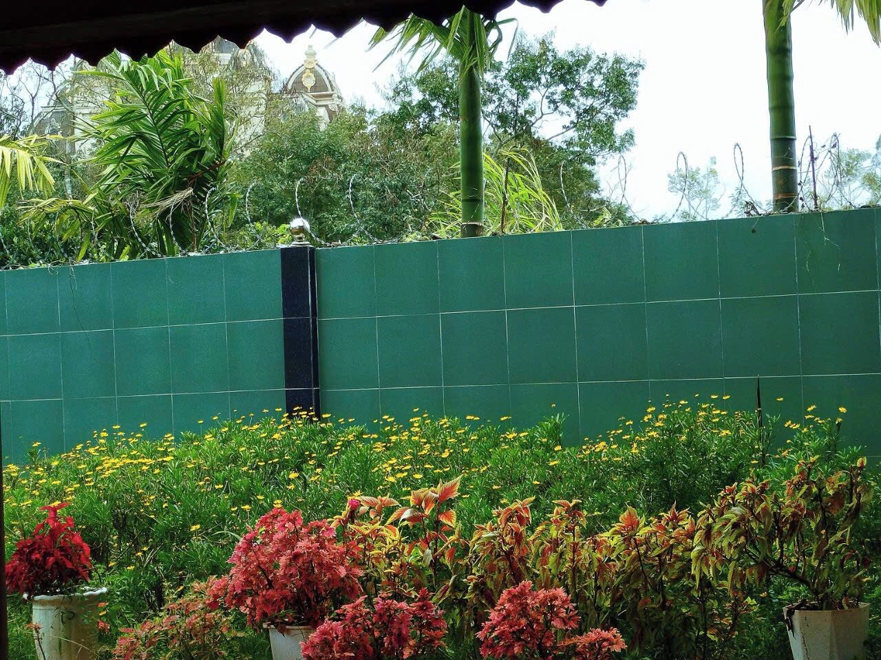 A green wall with a vertical black structure, surrounded by various plants and flowers.
