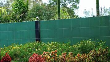 A green wall with a vertical black structure, surrounded by various plants and flowers.