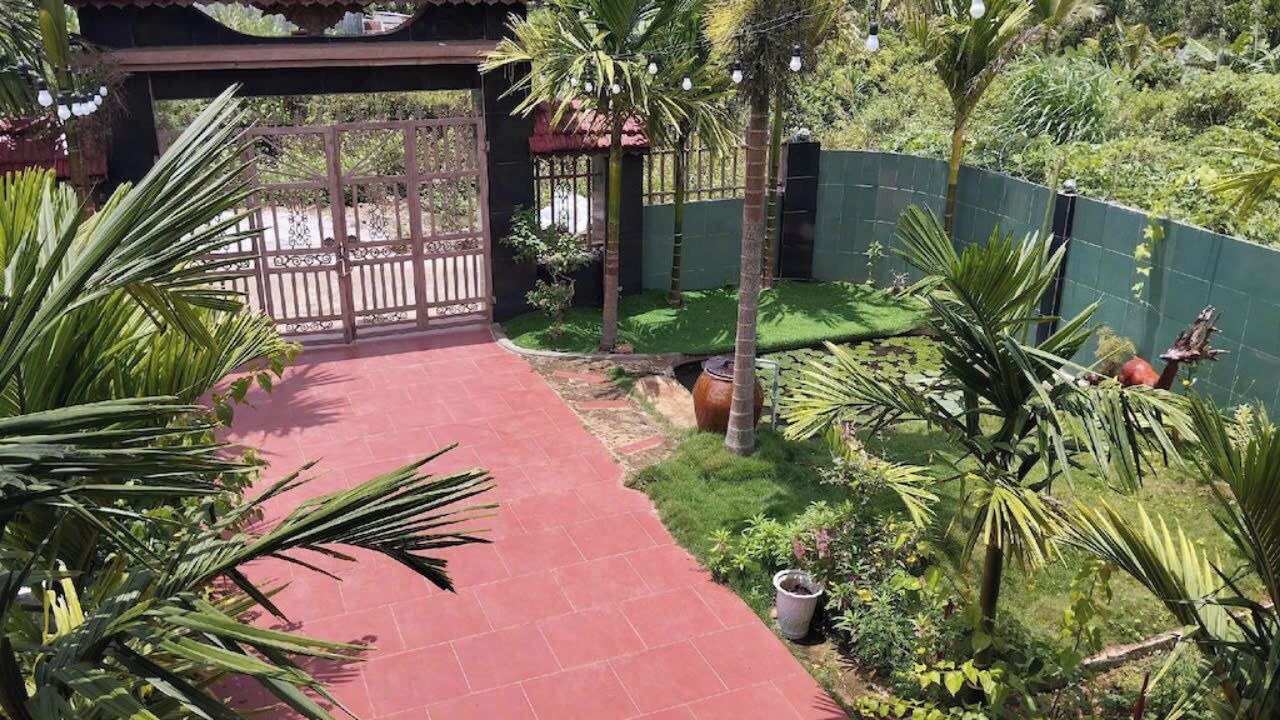 Um caminho no jardim leva a um portão, cercado por vegetação exuberante e palmeiras.