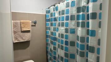 Shower, bidet, towels, toilet paper