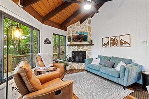 TV, fireplace, books, computer monitors